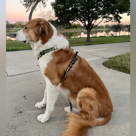 Hi Welcome /// Hola - Picture 7 of 16